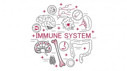 9 things that weaken the immune system