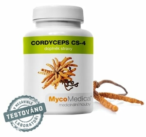 Cordyceps CS-4 at Optimal Concentration